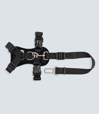 Strap Harness