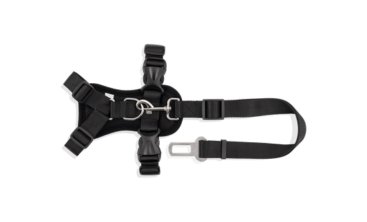 Strap Harness